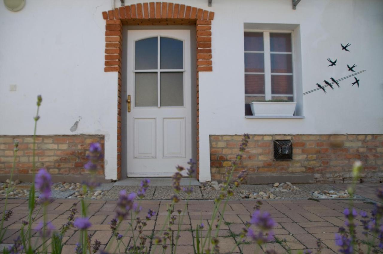 Notas Tuecsoek Vendeghaz Apartment Agyagosszergény Exterior photo